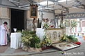 VBS_9792 - Infiorata di Villanova d'Asti 2023
